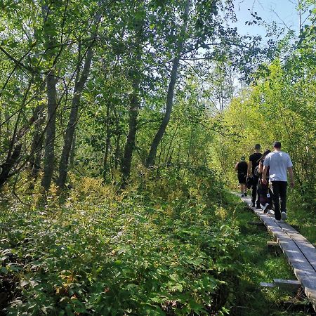 Villa Elba Kokkola  Bagian luar foto