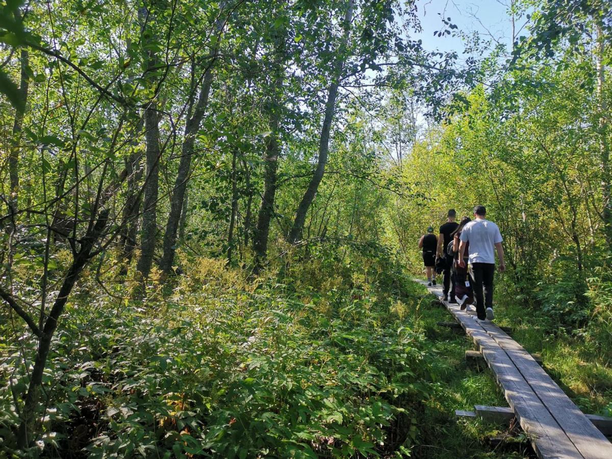 Villa Elba Kokkola  Bagian luar foto